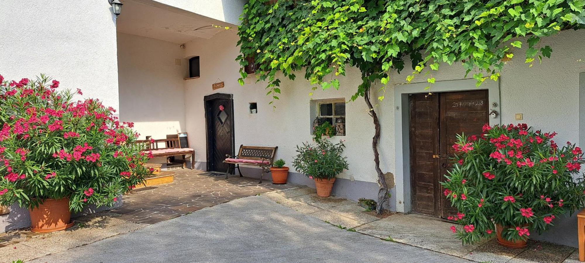 Ana Antloga Apartments Bled Luaran gambar