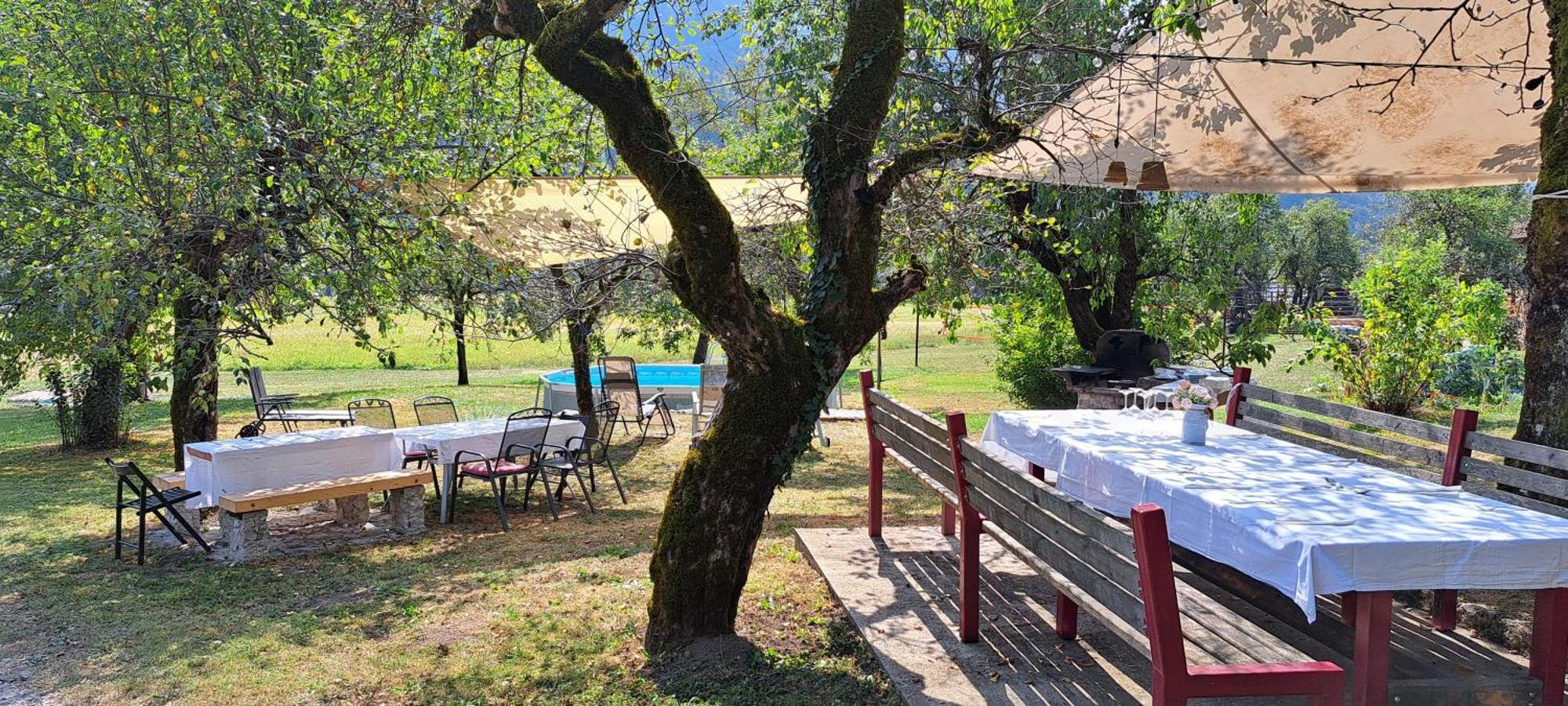 Ana Antloga Apartments Bled Luaran gambar